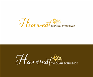 Logo Design by SpringDesigns