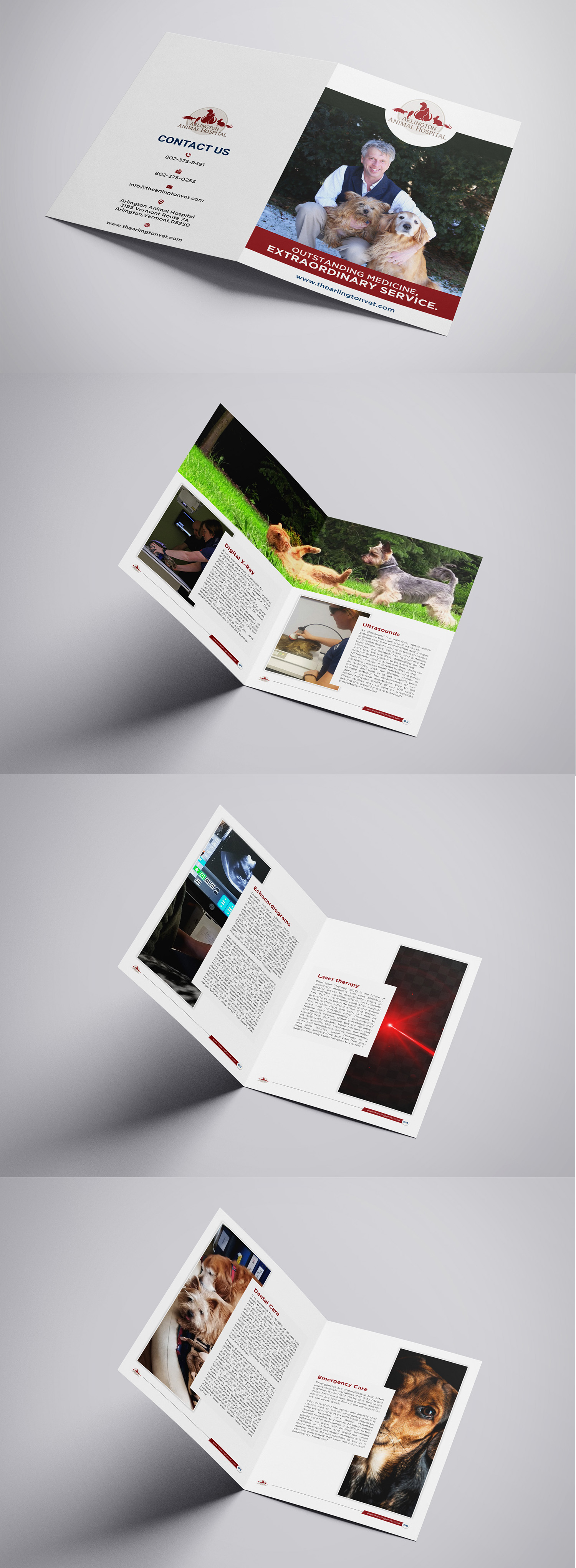 Diseño Gráfico por debdesign para este proyecto | Diseño #26206461