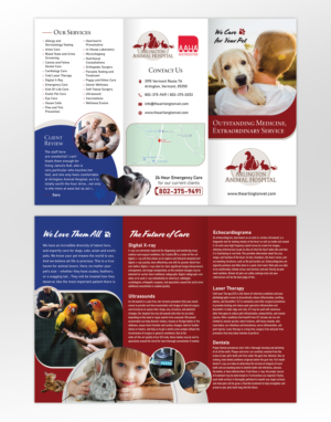 Arlington Animal Hospital brochure | Graphic Design by sun_design