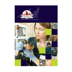 Diseño Gráfico por thehummer para este proyecto | Diseño: #26130857