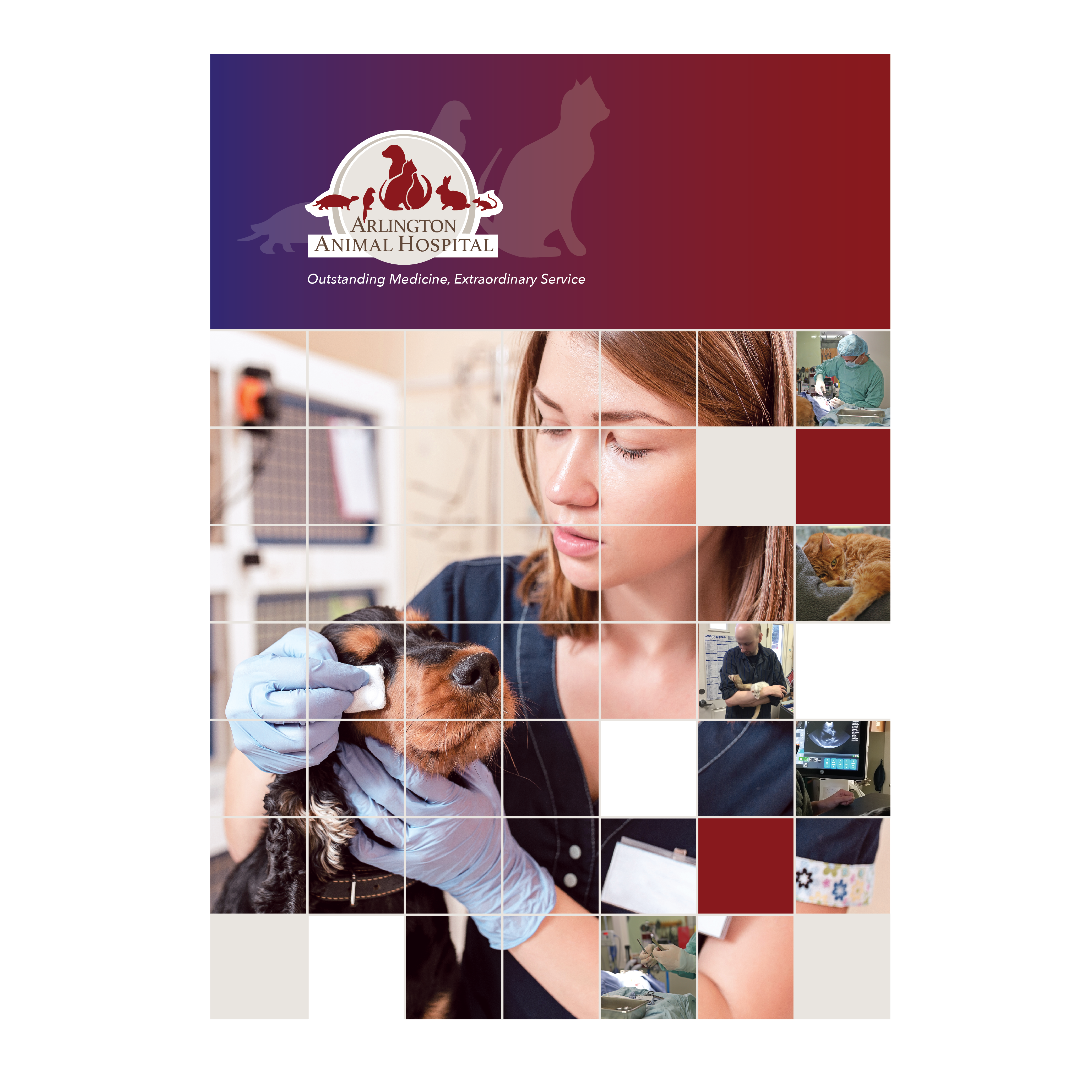 Diseño Gráfico por thehummer para este proyecto | Diseño #26152111