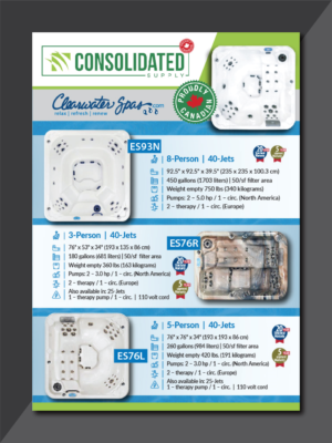 Flyer Design by Deziners Zone for this project | Design: #26129586