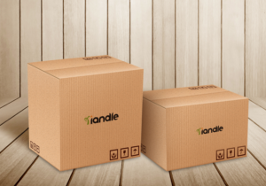 Logo Design by jingsonbasten 2 for RIANDLE | Design: #26162758