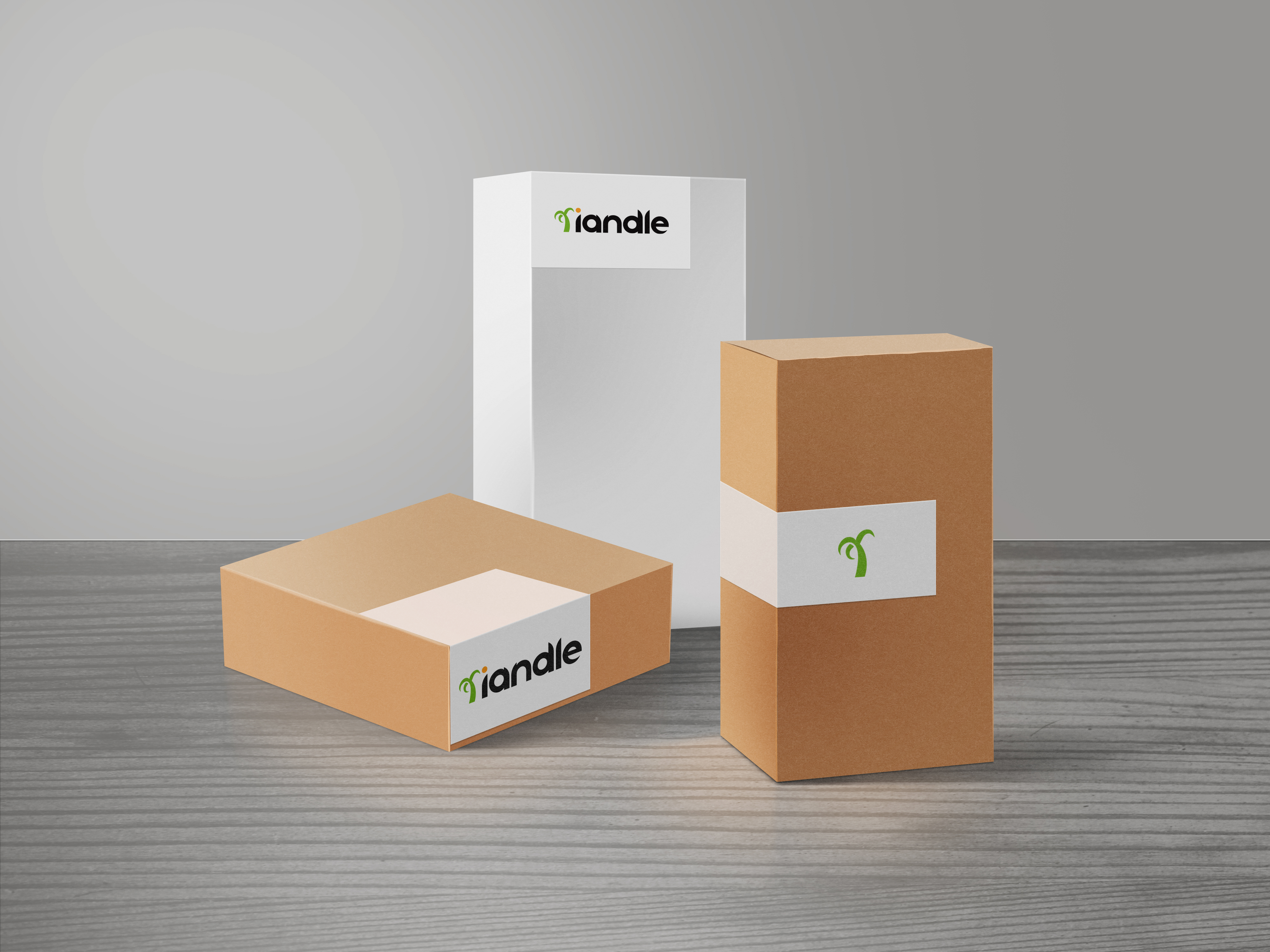 Logo Design by jingsonbasten 2 for RIANDLE | Design #26162760