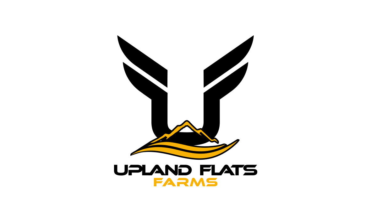 Logo Design by trufya for this project | Design #26135999