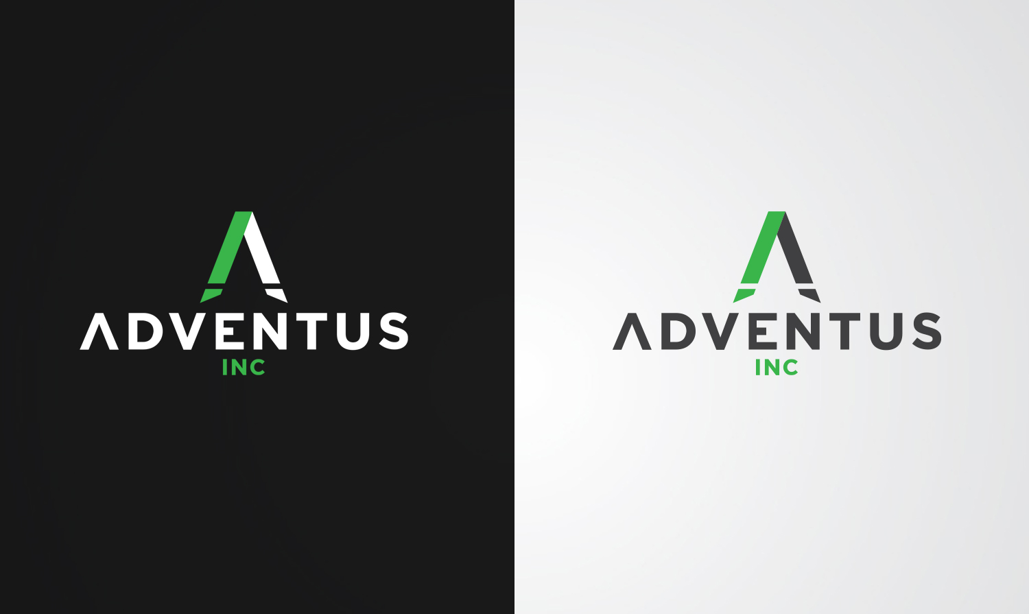Logo Design by stealth_ferret for Fortezza Group | Design #26130764