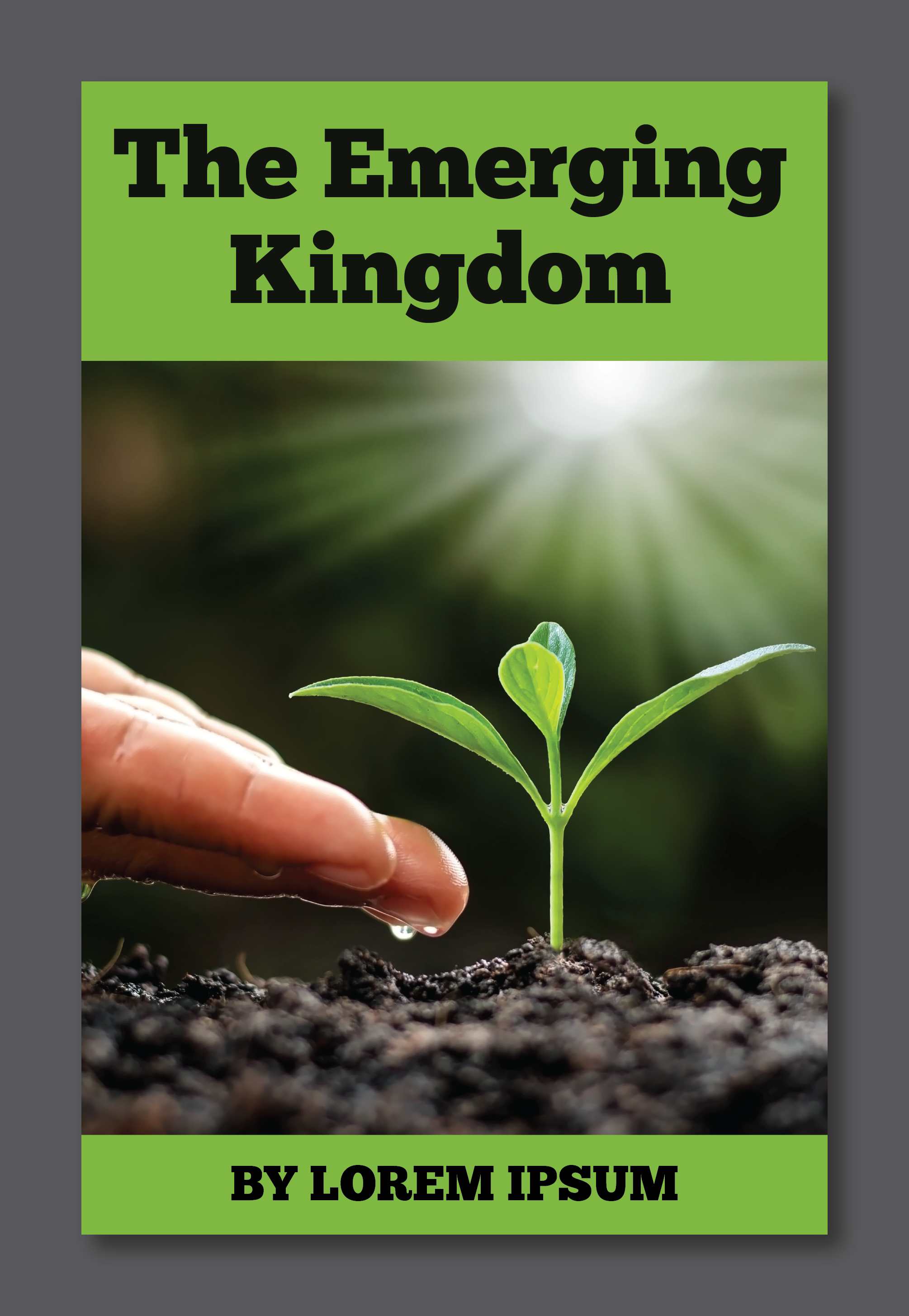 Book Cover Design by Titan Solbiz for this project | Design #26135884