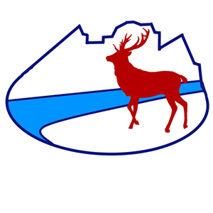 Logo Design by seven diamonds for Fernie Nordic Society | Design: #3053811