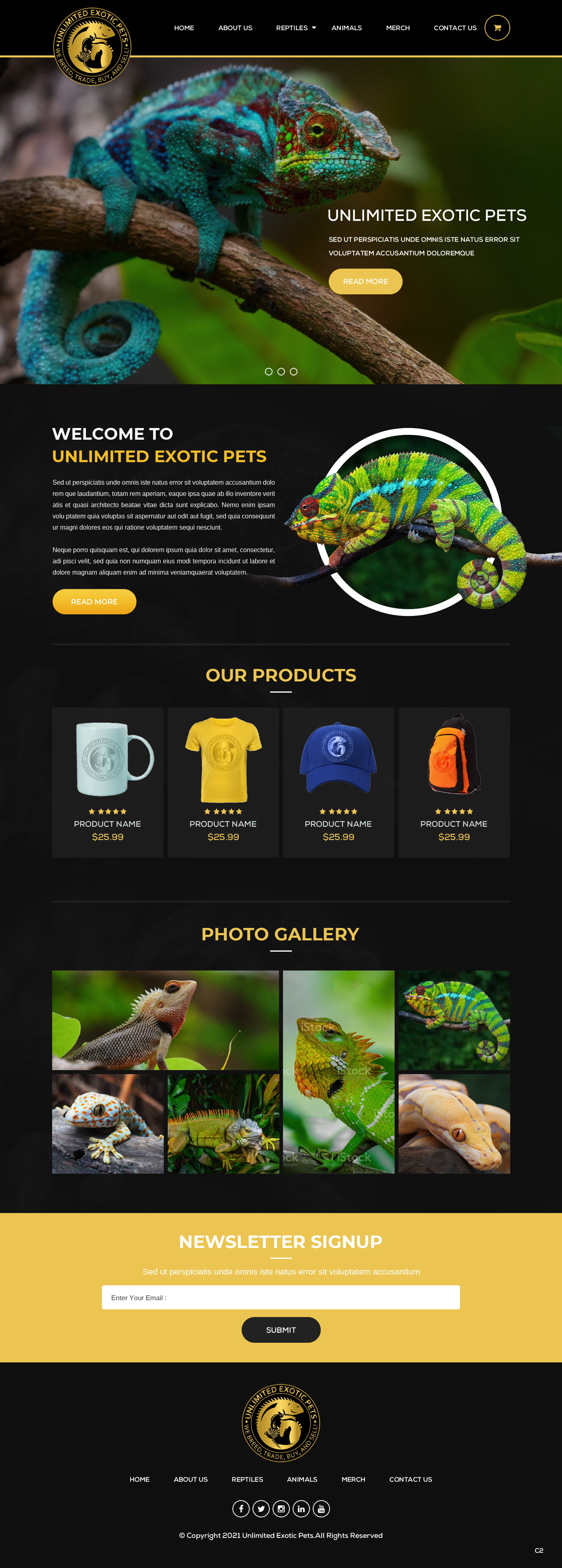 Web Design by pb for this project | Design #26144842