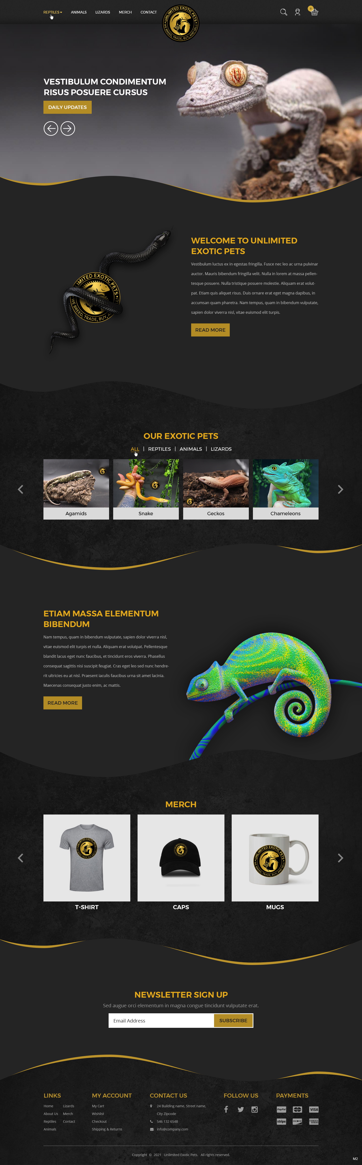 Web Design by pb for this project | Design #26157280