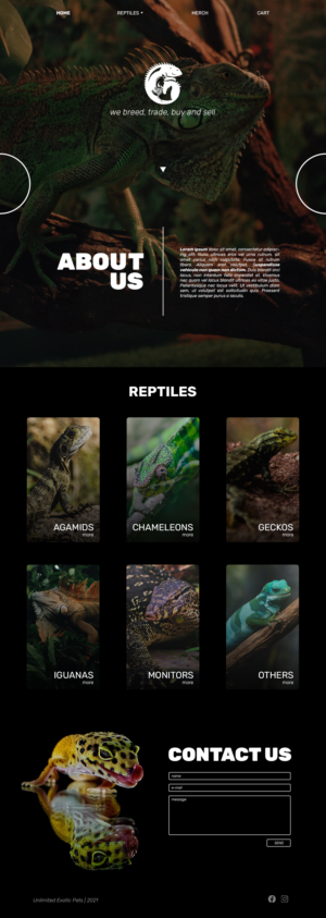 Web Design by sz_david96