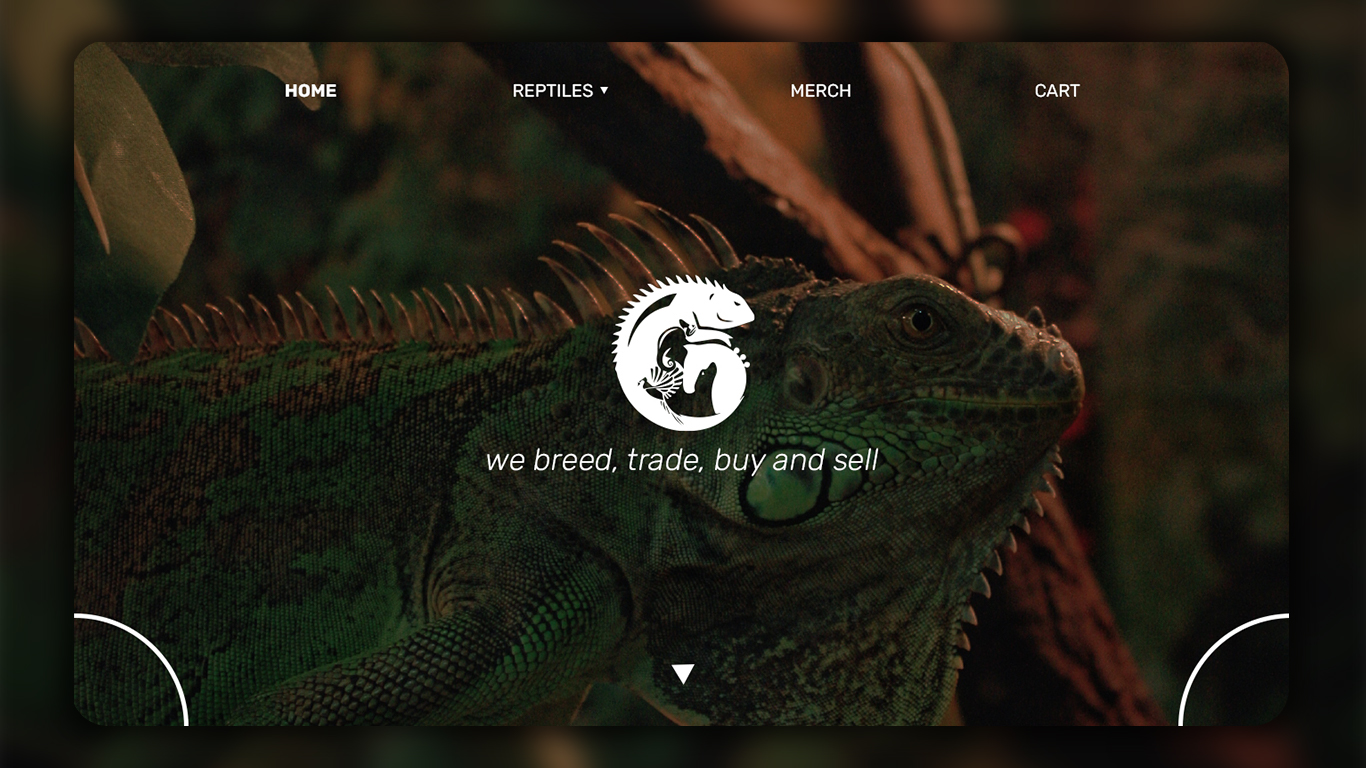 Web Design by sz_david96 for this project | Design #26149780