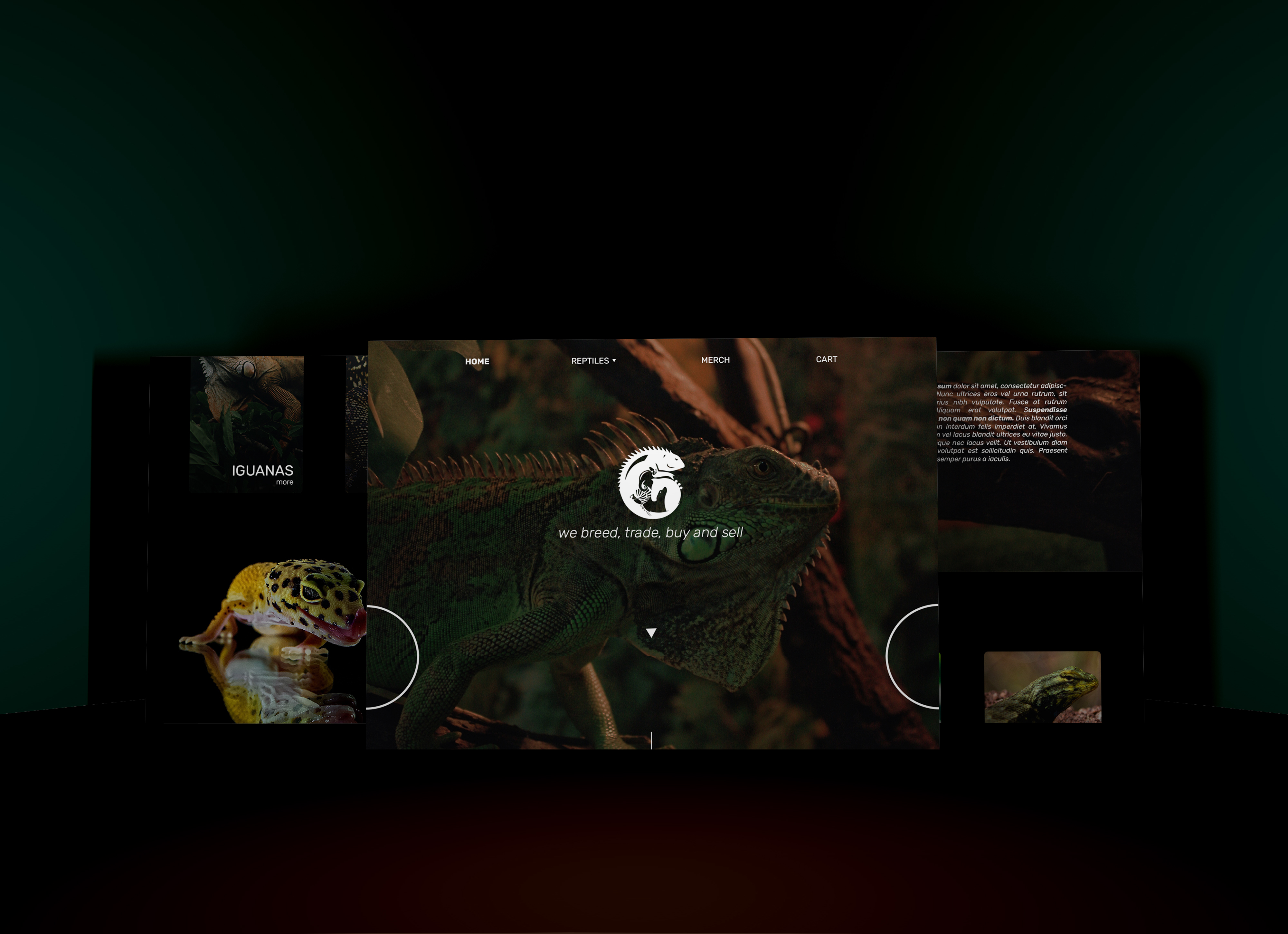 Web Design by sz_david96 for this project | Design #26149781