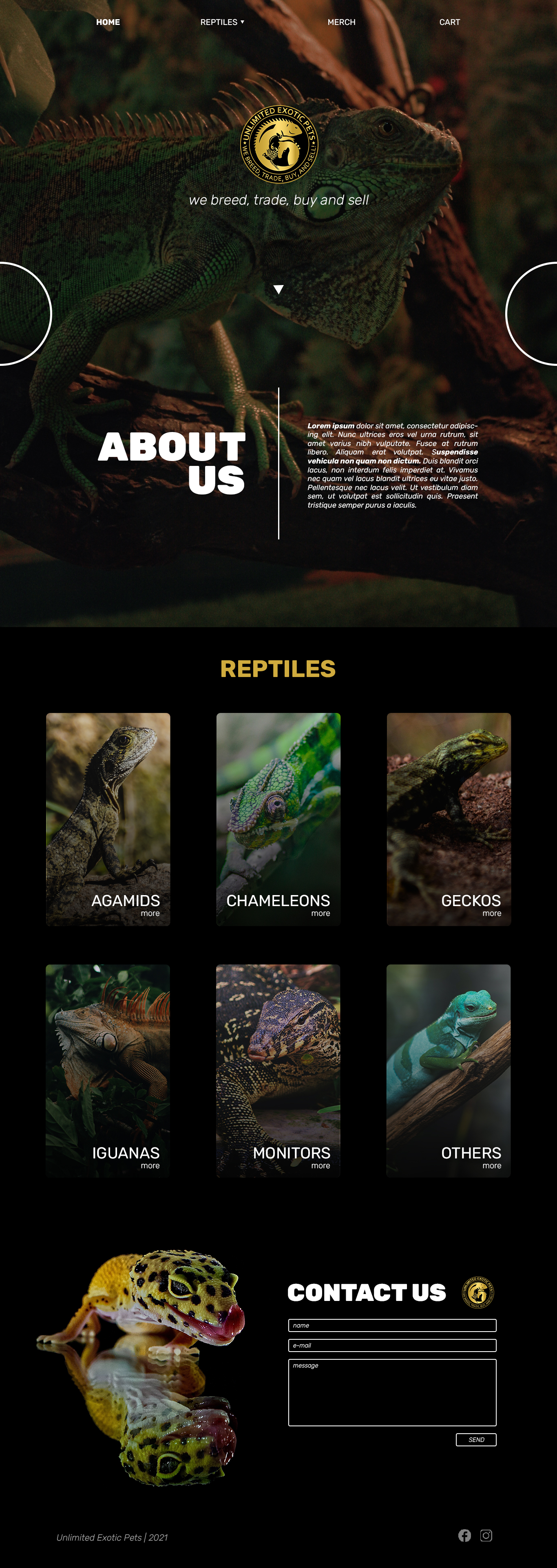 Web Design by sz_david96 for this project | Design #26156188