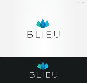 Logo Design by JWTL for D&T Designs | Design: #26160772