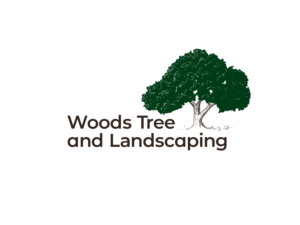 Logo Design by Fuuma