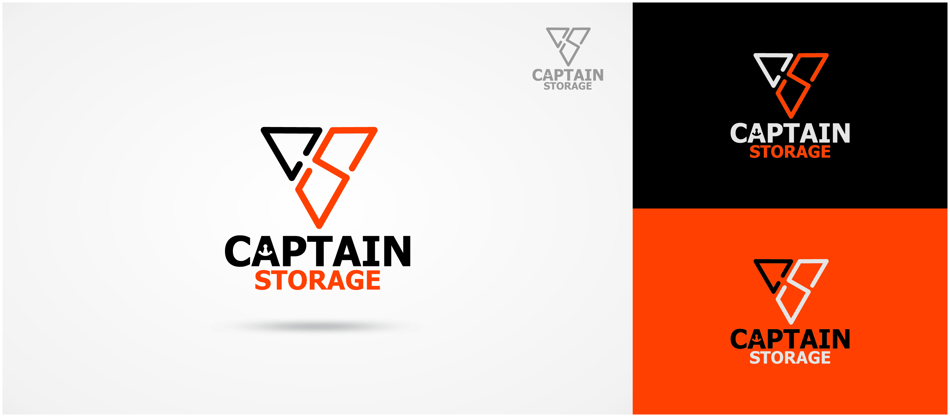 Logo Design by Tuba Art Studio. IZ (IMRAN ZW) for TDL Holdings Ltd | Design #26157425