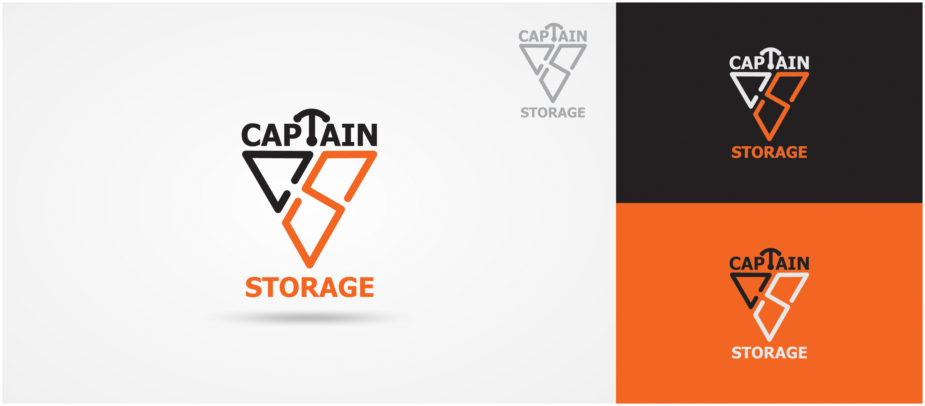 Logo Design by Tuba Art Studio. IZ (IMRAN ZW) for TDL Holdings Ltd | Design #26157431