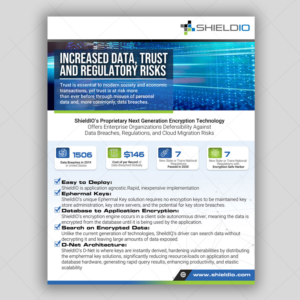 ShieldIO Flyer Design For Enterprise Customers | Flyer Design by DA.