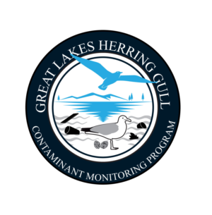 Logo Design by Wonderful design for this project | Design: #26218409