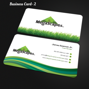 Business Card Design by Expert Designer for this project | Design #26161638
