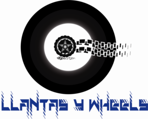 Logo Design by shafrazmohamed106