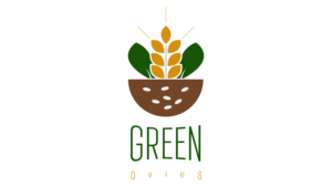 Logo Design by Adebobola