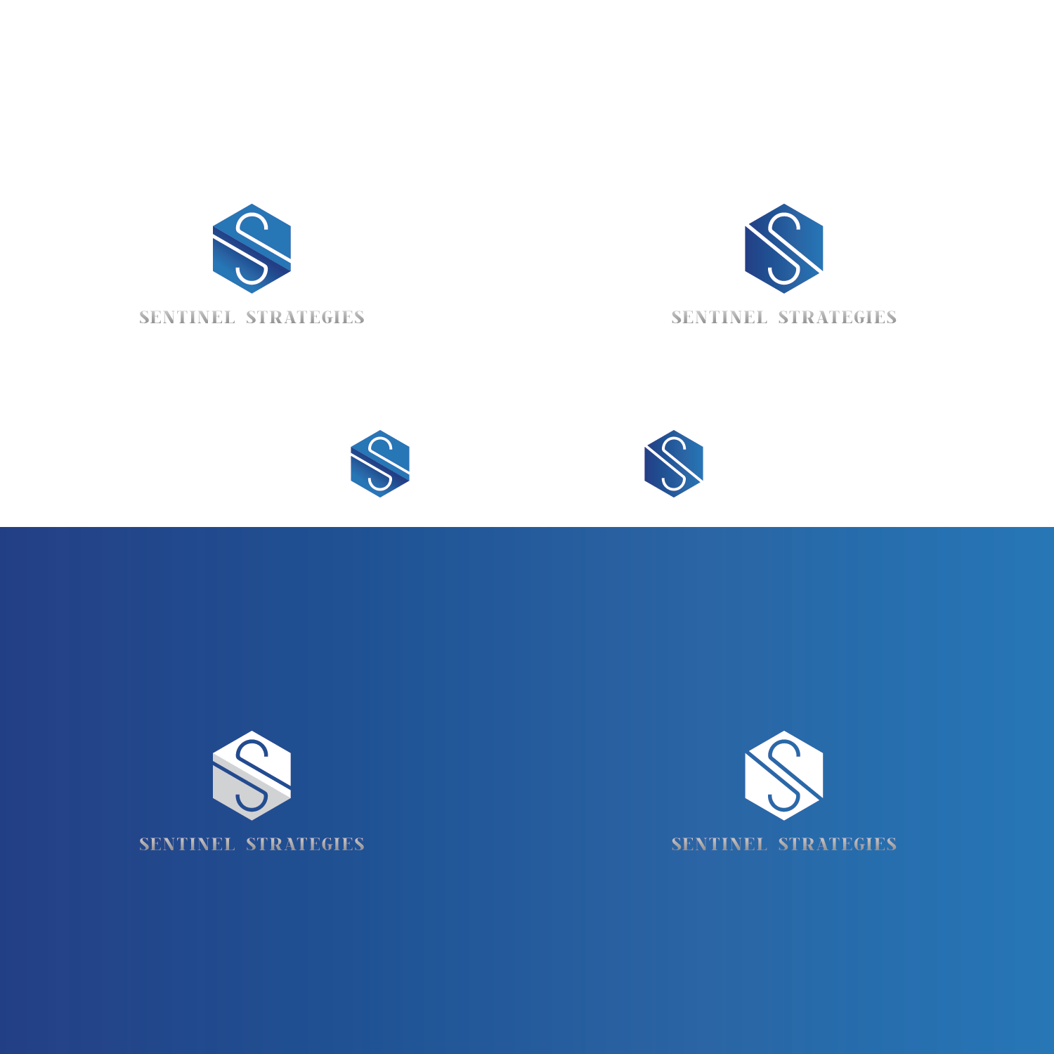 Logo Design by Verified artistry (Design garden) for Sentinel Way | Design #26185310