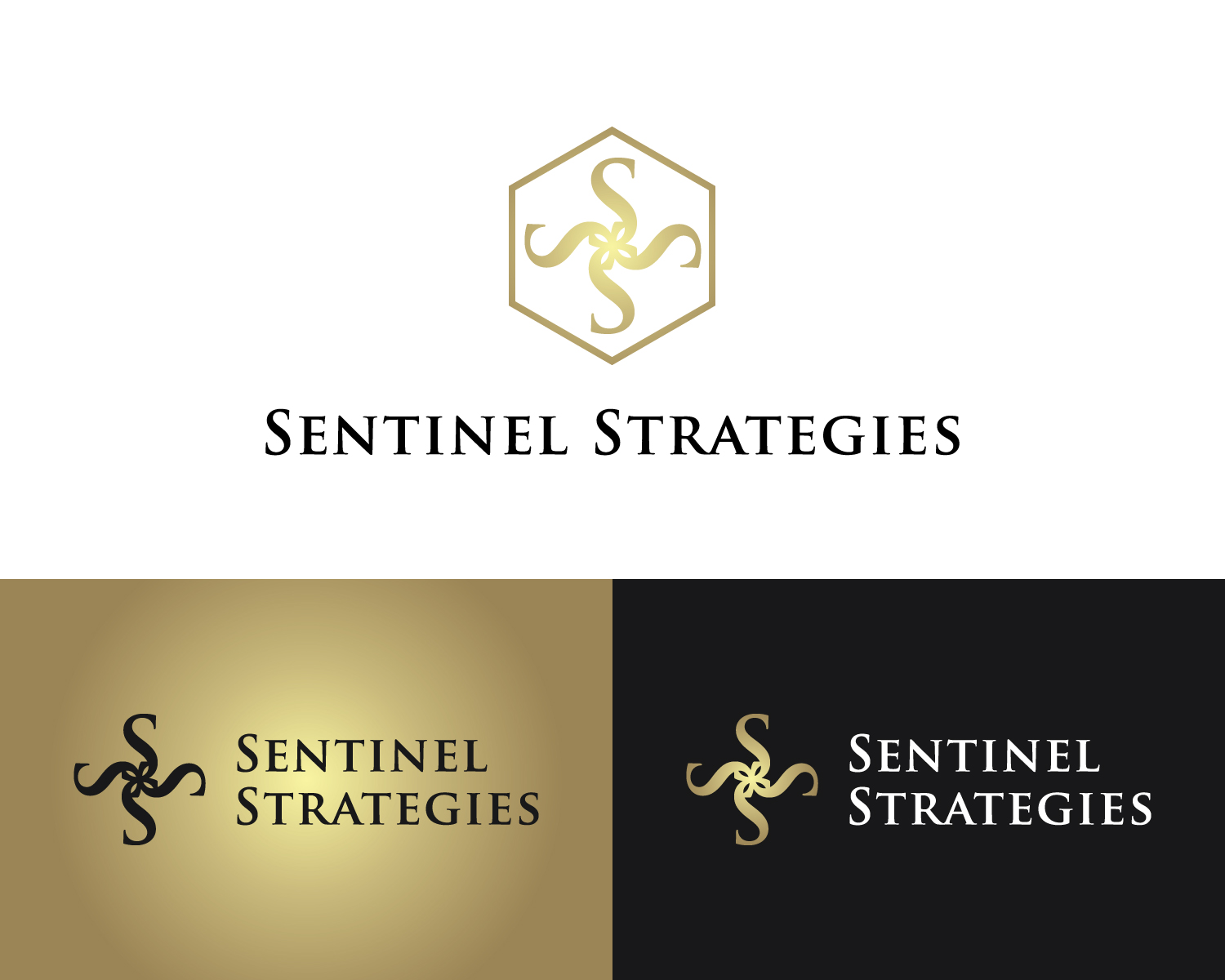 Logo Design by MAWBM for Sentinel Way | Design #26176399
