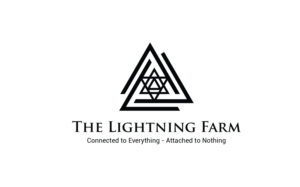Logo Design by MT