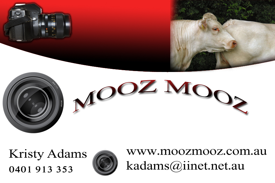 Business Card Design by faraz for this project | Design #742396