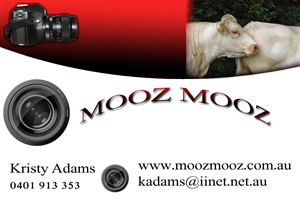 Business Card Design by faraz for this project | Design: #742398