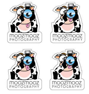 Cute Cow with Camera Card