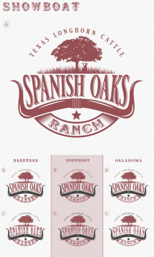 Logo Design by Classgraphics11