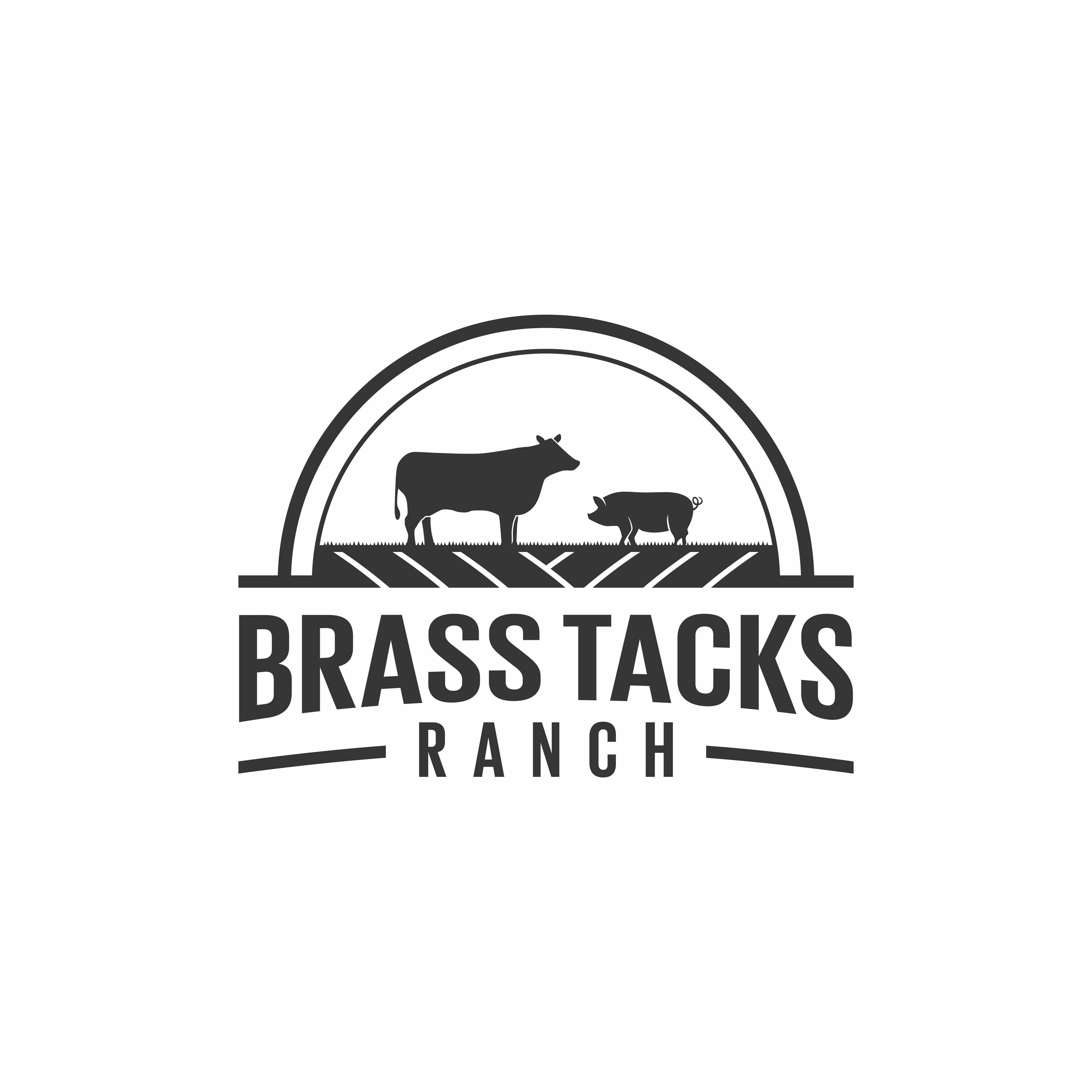 Design de Logo par AslamDesign pour Brass Tacks Ranch  | Design #26181695