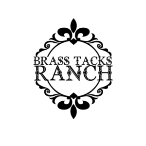 Logo Design by Wonderful design for Brass Tacks Ranch  | Design: #26207104