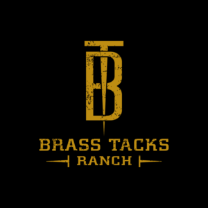 Logo Design by JohnnyMacK