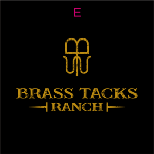 Logo Design by JohnnyMacK for Brass Tacks Ranch  | Design: #26255317