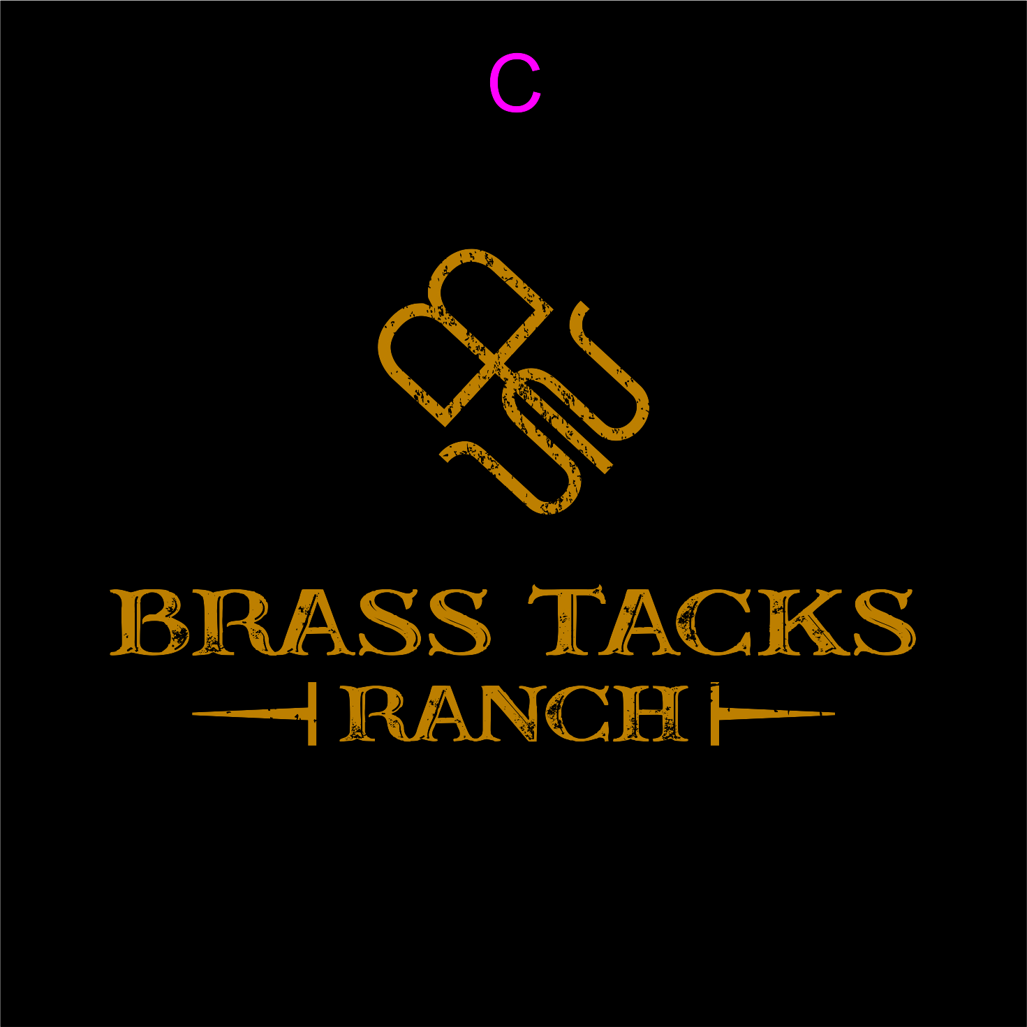 Logo Design by JohnnyMacK for Brass Tacks Ranch  | Design #26255318