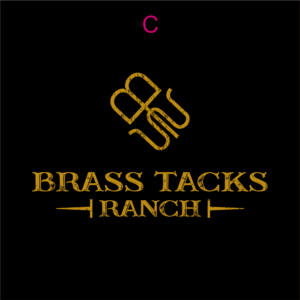Logo Design by JohnnyMacK for Brass Tacks Ranch  | Design: #26255318
