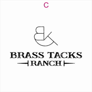 Logo Design by JohnnyMacK for Brass Tacks Ranch  | Design: #26271288