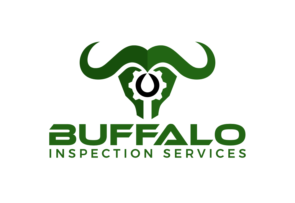 Diseño de Logo por Avartde para Buffalo Inspection Services | Diseño #26171163