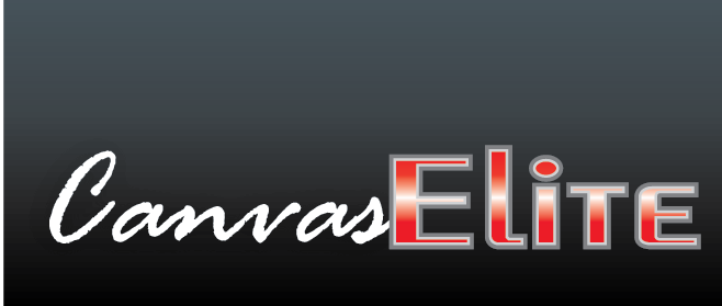 Logo Design by theREALgone84 for CanvasElite | Design #3096242