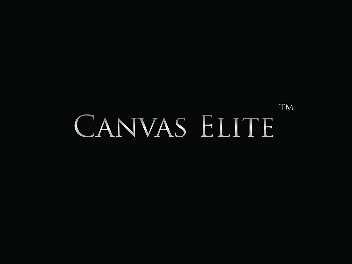 Logo Design by gockomkd for CanvasElite | Design #3088322