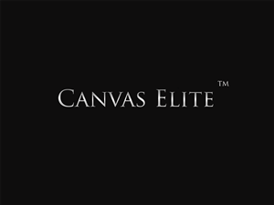 Design de Logo par gockomkd pour CanvasElite | Design : #3088322