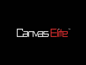 Design de Logo par gockomkd pour CanvasElite | Design : #3088325