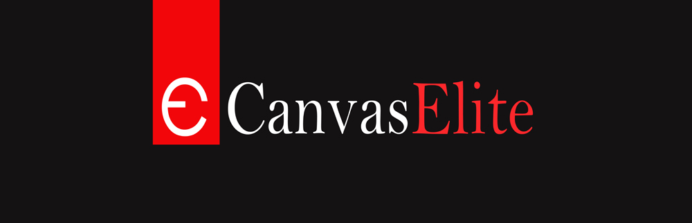 Design de Logo par FLEXIN pour CanvasElite | Design #3071613