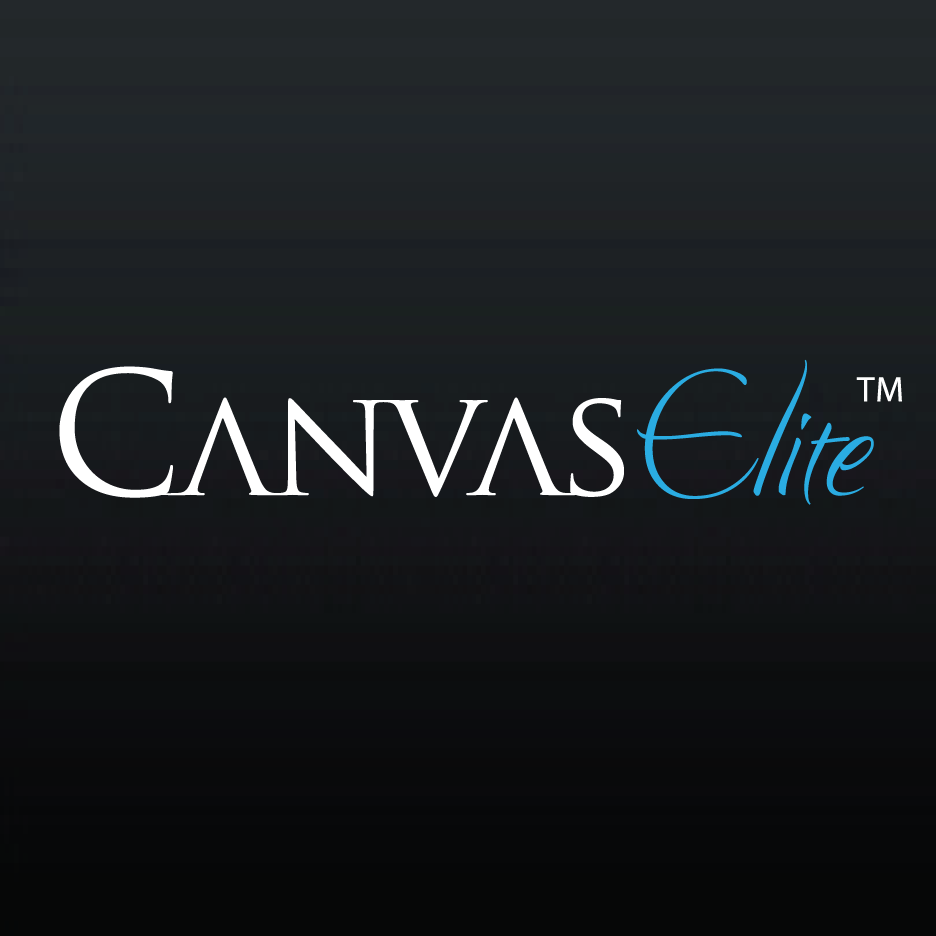Logo Design by Bling Connect Ink for CanvasElite | Design #3038362