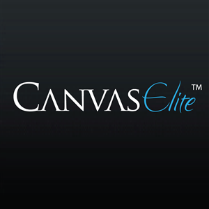 Design de Logo par Bling Connect Ink pour CanvasElite | Design : #3038362