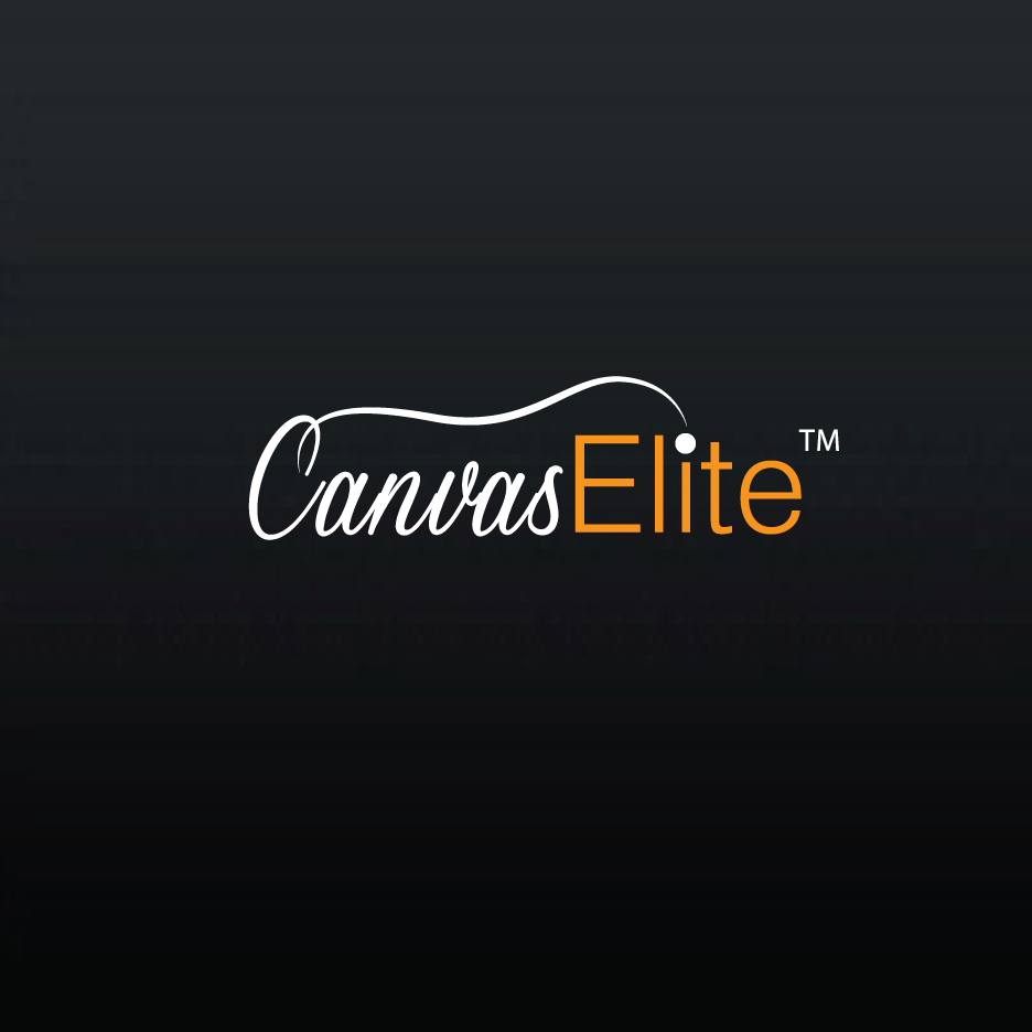 Logo Design by Bling Connect Ink for CanvasElite | Design #3038509